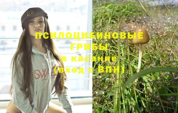 индика Алзамай