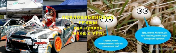 МДПВ Алексин