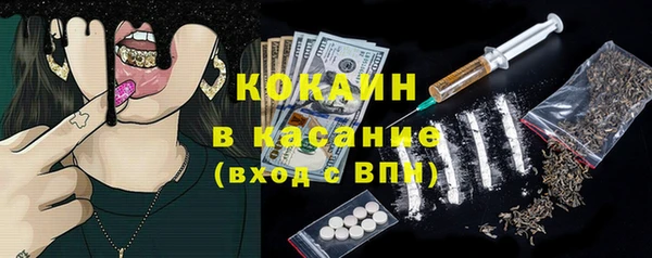 индика Алзамай