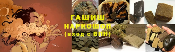 индика Алзамай