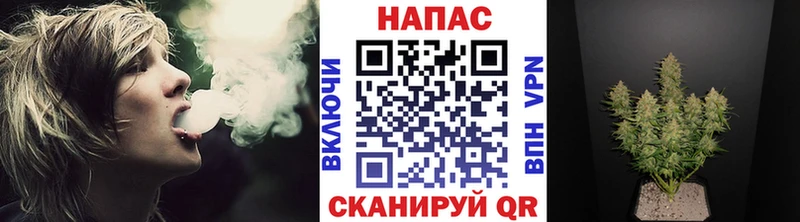 Шишки марихуана индика  где купить наркотик  Грайворон 
